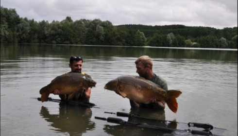 A carp from Lepinet South, Jul 2019