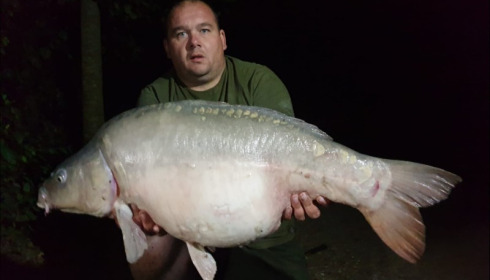 A carp from Lepinet South, doug, Sep 2019