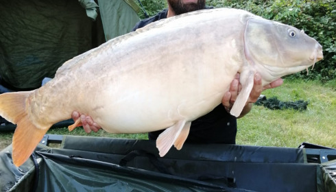 A carp from Lepinet South, dave h, Aug 2021