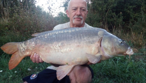 A carp from Lepinet South, Sep 2019