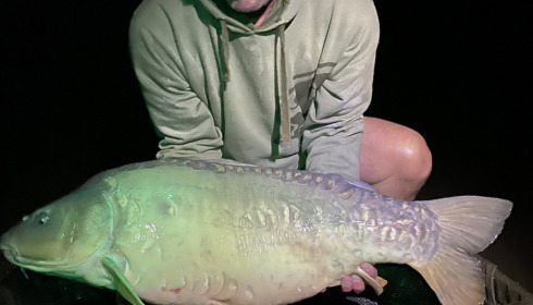 A fish from Lepinet South, May 2023