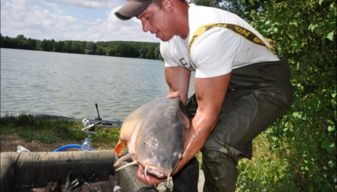 A carp from Lepinet South, Jul 2019