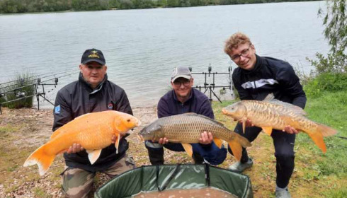 A carp from Lepinet South, alban, May 2021