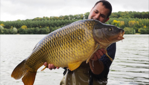 A 44 lb carp from Lepinet South, Additional Stocking, Oct 2019