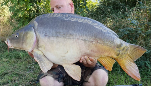 A carp from Lepinet South, Sep 2019