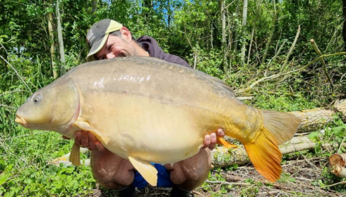 A 41 lb carp from Lepinet South, guigui, May 2021