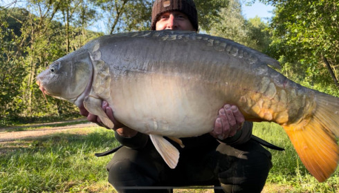 A carp from Lepinet South, Jun 2022