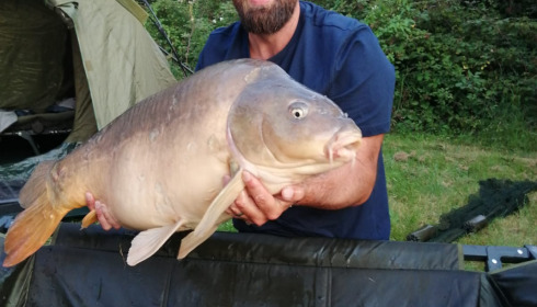 A carp from Lepinet South, dave h, Aug 2021