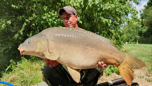 A carp from Lepinet South, Jul 2019