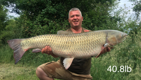 A carp from Lepinet South, Jun 2022