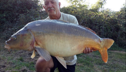 A carp from Lepinet South, Sep 2019