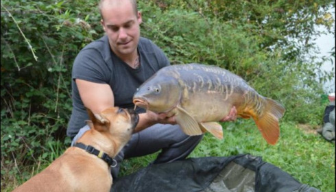 A carp from Lepinet South, Aug 2019