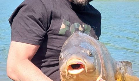 A carp from Lepinet South, David Coyle, May 2023