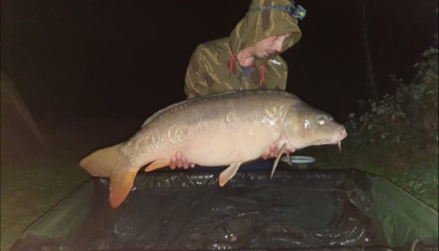 A carp from Lepinet South, Aug 2019