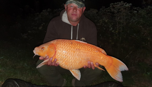 A carp from Lepinet South, dave h, Aug 2021