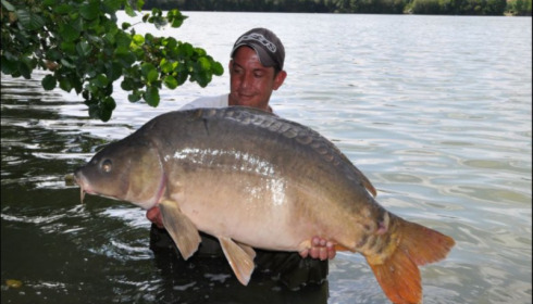 A 50 lb carp from Lepinet South, Jul 2019