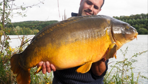 A 44 lb carp from Lepinet South, Additional Stocking, Oct 2019