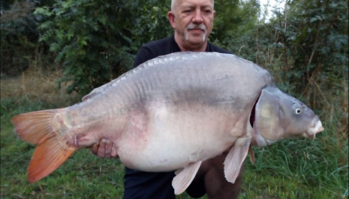 A carp from Lepinet South, Sep 2019
