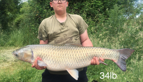 A carp from Lepinet South, Jun 2022