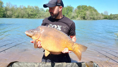 A 31 lb 4 oz carp from Lepinet South, David Coyle, May 2023