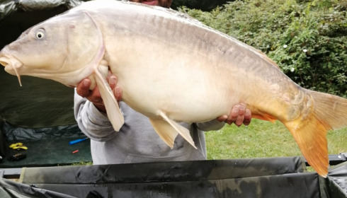 A carp from Lepinet South, dave h, Aug 2021