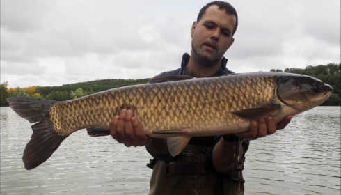 A 22 lb grass carp from Lepinet South, Additional Stocking, Oct 2019