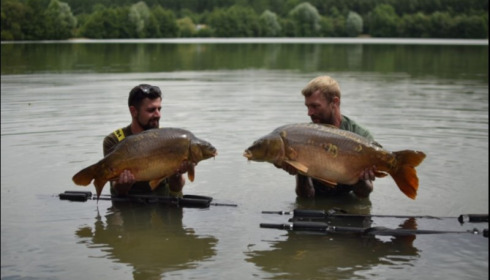 A carp from Lepinet South, Nicholas Lowe, Aug 2019
