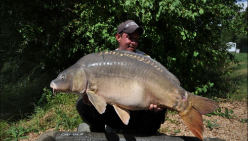 A carp from Lepinet South, Jul 2019