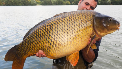 A 63 lb carp from Lepinet South, Additional Stocking, Oct 2019