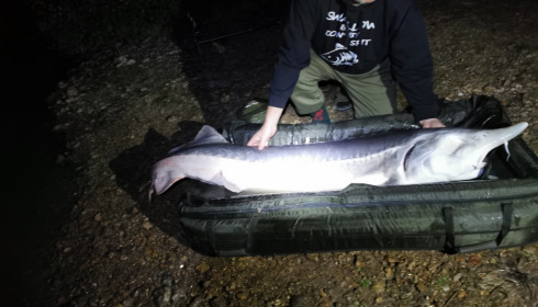 A fish from Lepinet South, Oct 2021