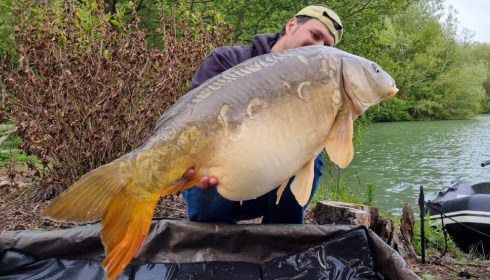 A 43 lb carp from Lepinet South, guigui, May 2021