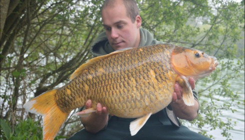 A carp from Lepinet South, Aug 2019