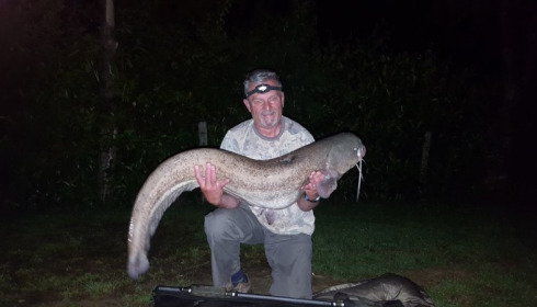 A 41 lb catfish from Lillybelle, Malcolm Stead, Jun 2016