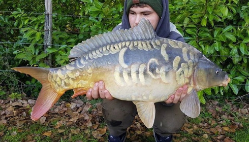 A carp from Lillybelle, Jordan Cope, Sep 2017
