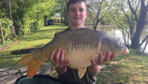 A carp from Lillybelle, Harry Meredith, Apr 2017
