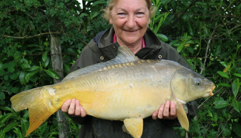 A carp from Lillybelle, Ann Burnhope, May 2017