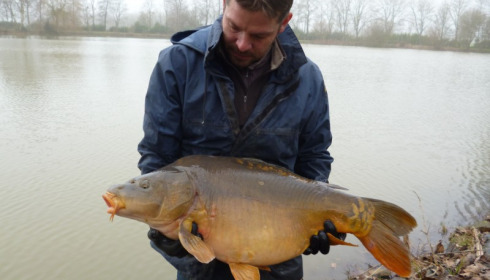 A 35 lb carp from Lillybelle, Stocking, Jan 2015