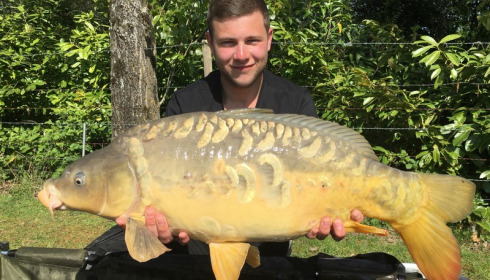 A carp from Lillybelle, Sam Vernon, Apr 2017