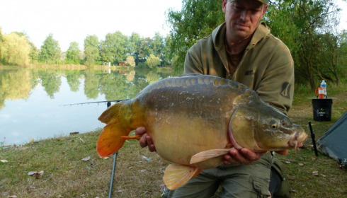 A carp from Lillybelle, Simon Green, Sep 2014