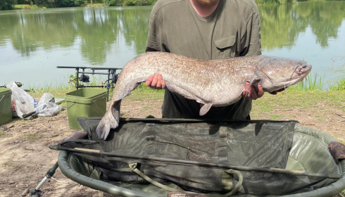 A 43 lb fish from Lillybelle, Alex Shiel, Jun 2022