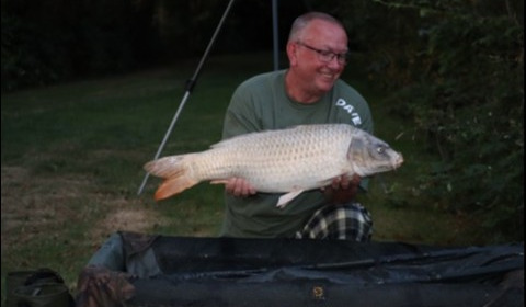 A carp from Lillybelle, David Robinson, Jul 2019
