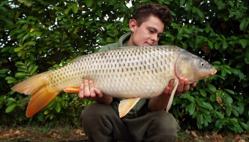 A carp from Lillybelle, Ben Parker, Sep 2017