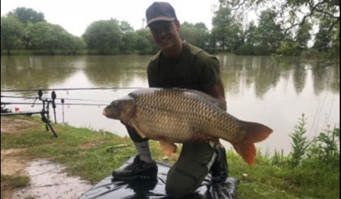 A 34 lb 7 oz carp from Lillybelle, Billy Brown, Jun 2019