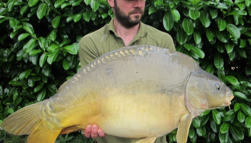 A 25 lb 6 oz carp from Lillybelle, Steve Juggins, Jul 2016