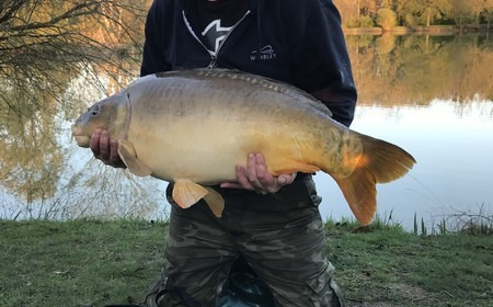 A 39 lb 1 oz carp from Lillybelle, Mark, Apr 2017