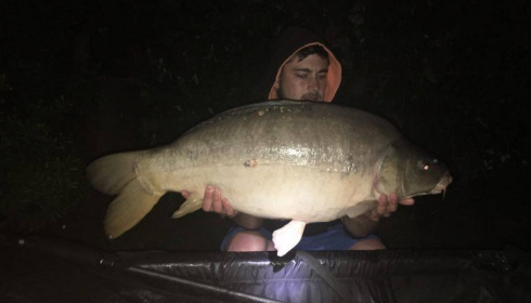 A carp from Lillybelle, Tim Hicks, Jul 2016