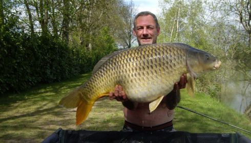 A 31 lb 6 oz carp from Lillybelle, Steve Bellis, Apr 2017