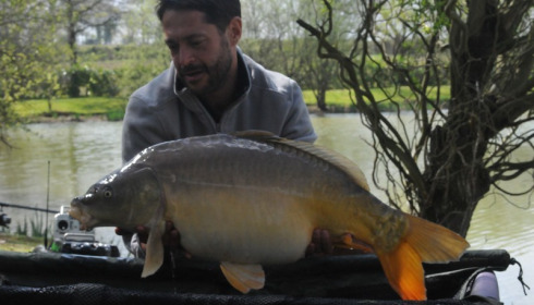 A 28 lb 4 oz carp from Lillybelle, Simmo, Apr 2017