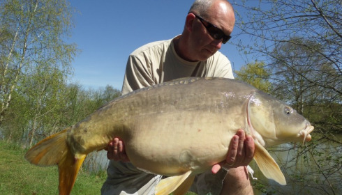 A 29 lb 8 oz carp from Lillybelle, Steve Charters, Apr 2015