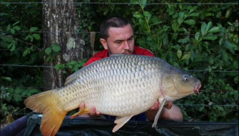 A 24 lb 2 oz carp from Lillybelle, Liam Payne, Aug 2018